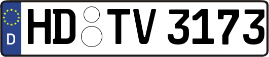 HD-TV3173