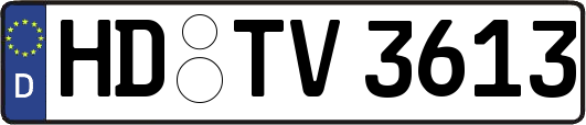 HD-TV3613