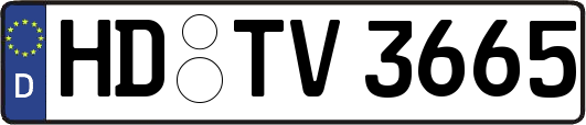 HD-TV3665