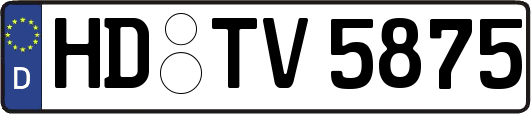 HD-TV5875