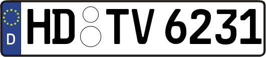 HD-TV6231