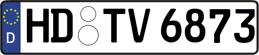HD-TV6873