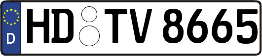 HD-TV8665