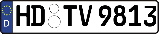 HD-TV9813
