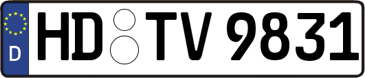 HD-TV9831
