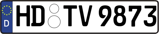 HD-TV9873