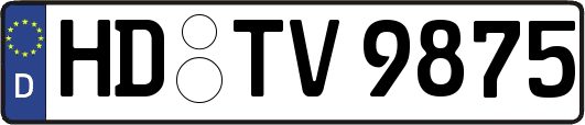 HD-TV9875
