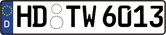 HD-TW6013