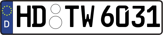 HD-TW6031