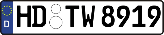 HD-TW8919