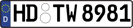 HD-TW8981