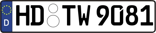HD-TW9081