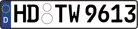 HD-TW9613