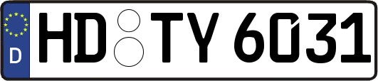 HD-TY6031