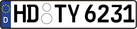 HD-TY6231