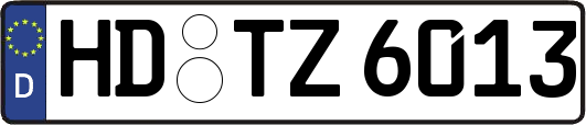 HD-TZ6013