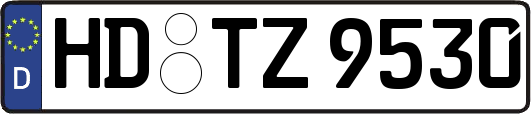 HD-TZ9530