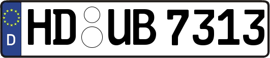 HD-UB7313