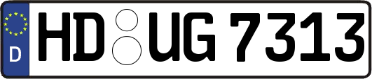HD-UG7313