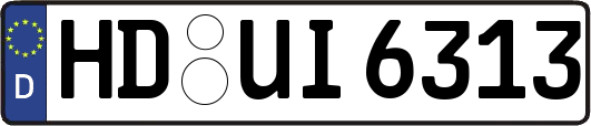 HD-UI6313
