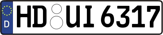 HD-UI6317