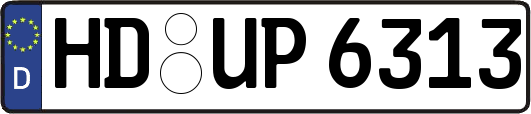 HD-UP6313