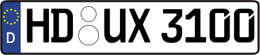 HD-UX3100
