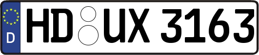 HD-UX3163