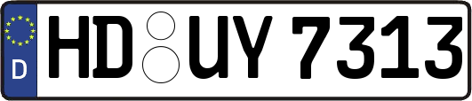 HD-UY7313