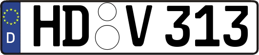 HD-V313