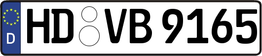 HD-VB9165