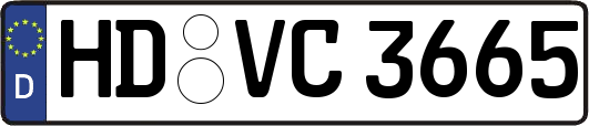 HD-VC3665