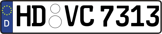 HD-VC7313