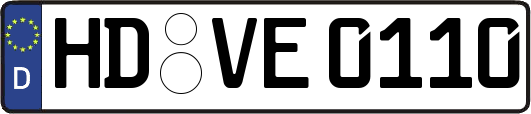 HD-VE0110