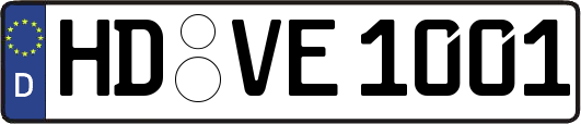 HD-VE1001