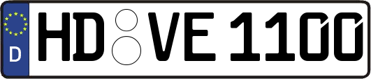 HD-VE1100