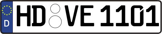 HD-VE1101