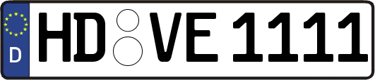 HD-VE1111
