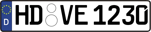 HD-VE1230