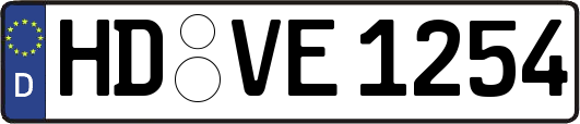 HD-VE1254