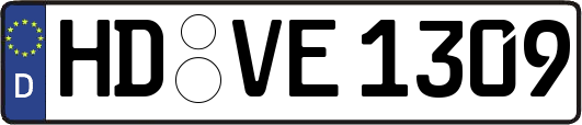 HD-VE1309