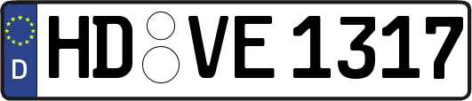 HD-VE1317