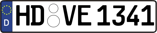 HD-VE1341
