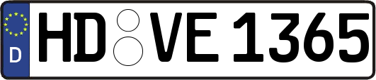 HD-VE1365