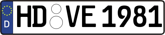 HD-VE1981