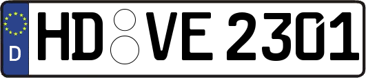 HD-VE2301