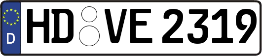 HD-VE2319