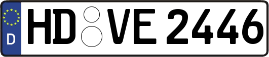 HD-VE2446