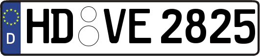 HD-VE2825
