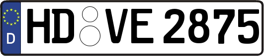 HD-VE2875